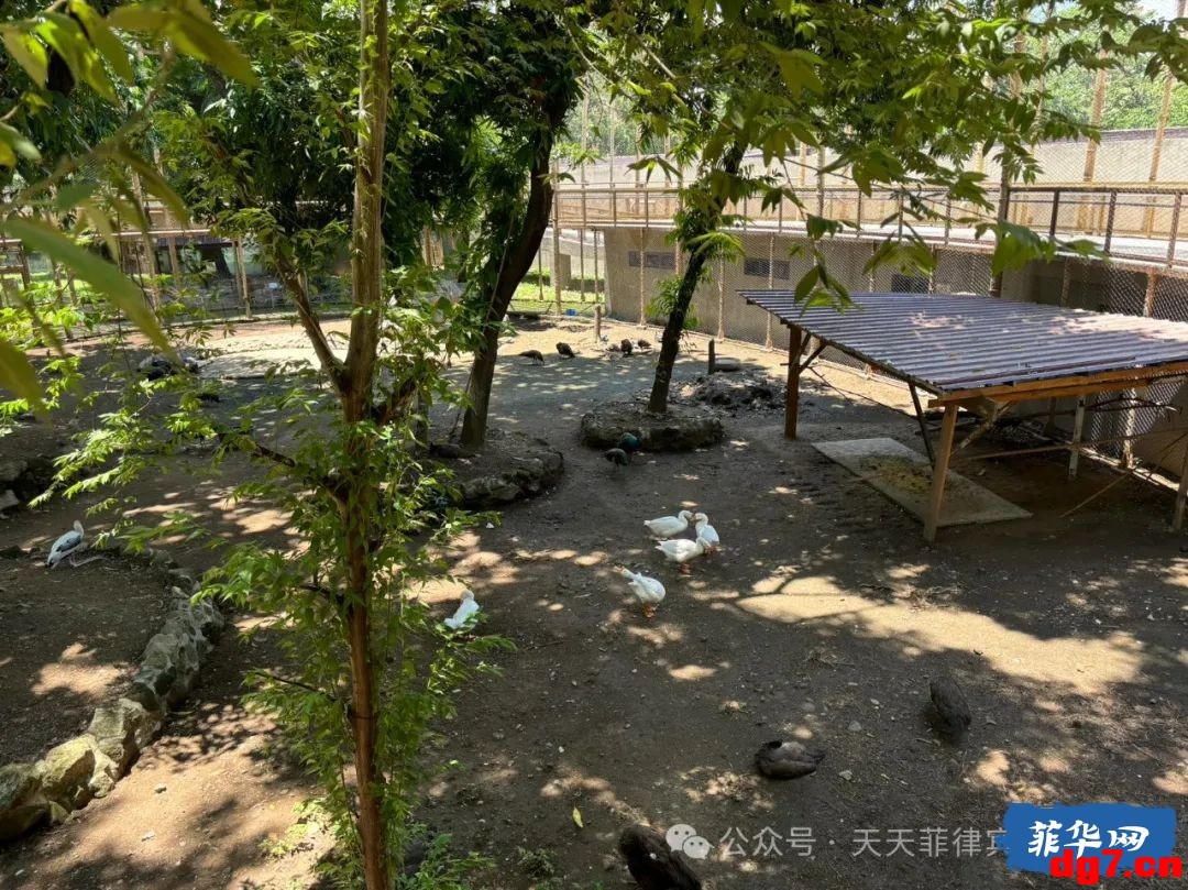 5.jpeg