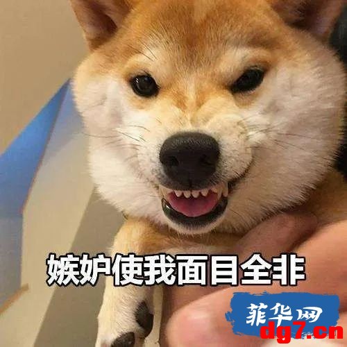 2.jpeg