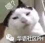 7.png
