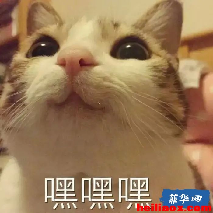 4.jpeg