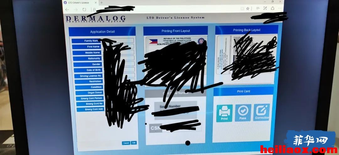 3.jpeg