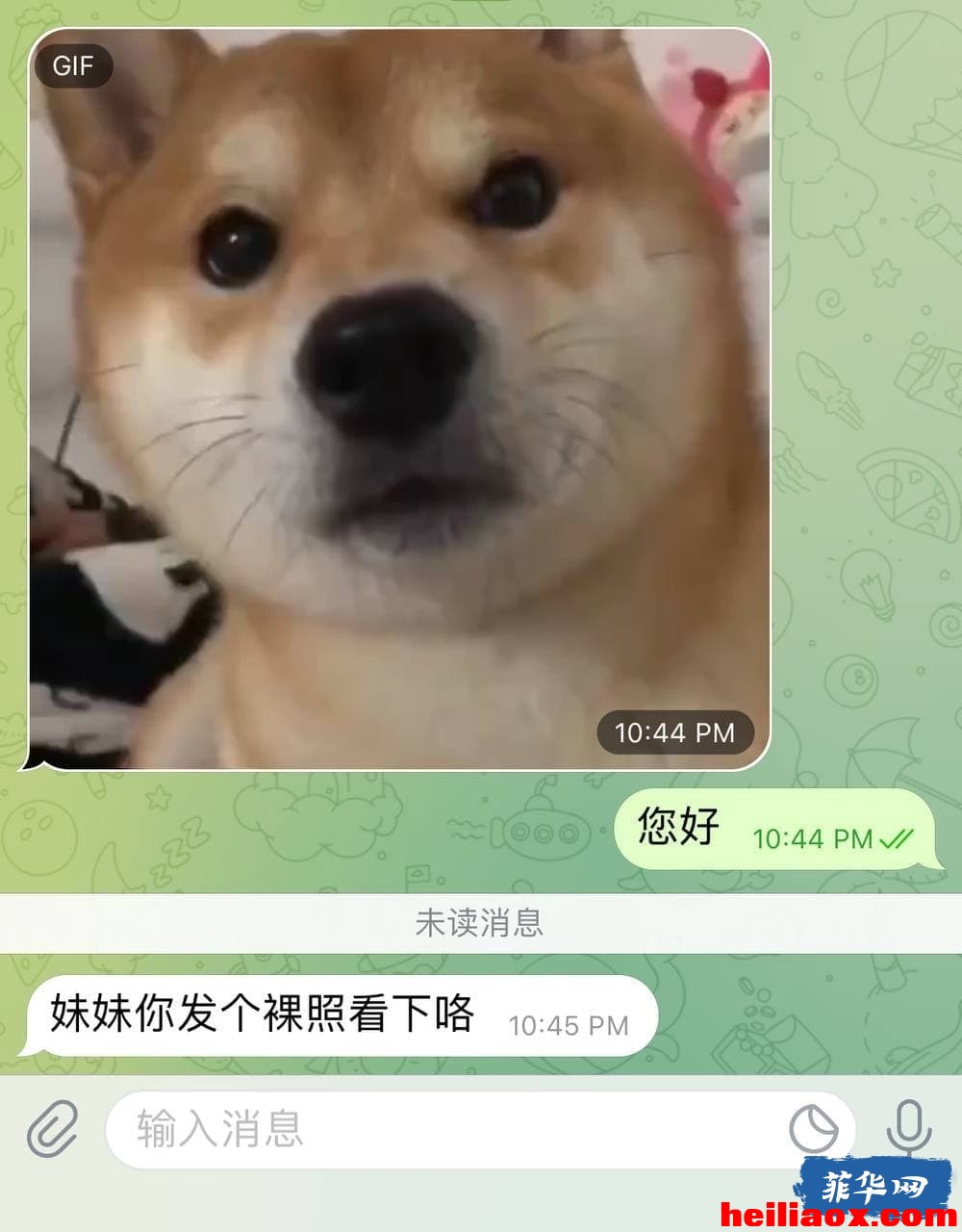 5.jpeg