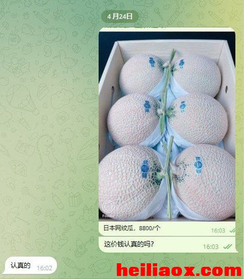 1.jpeg