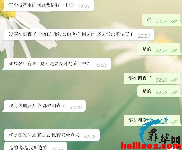 3.jpeg