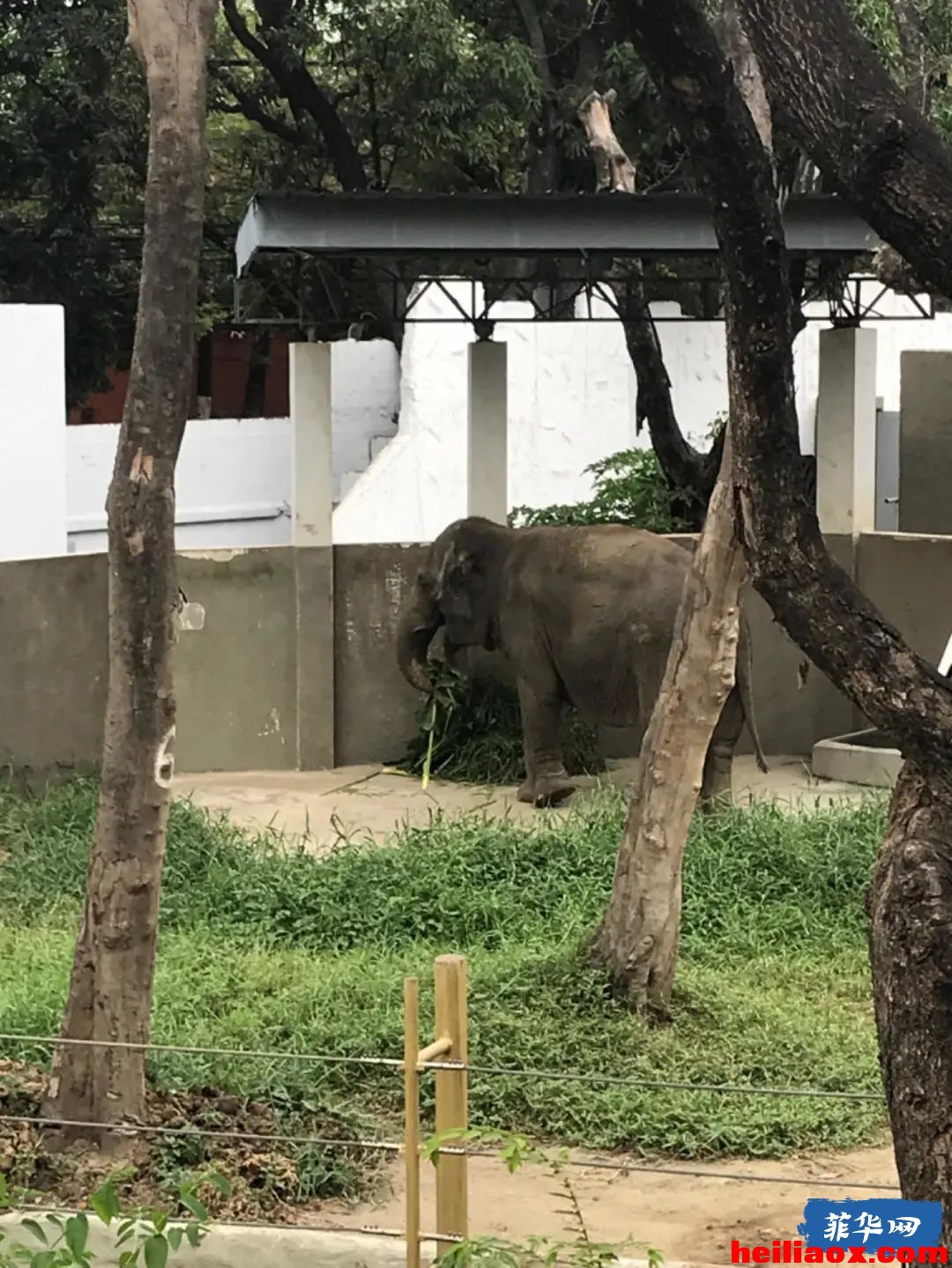 2.jpeg