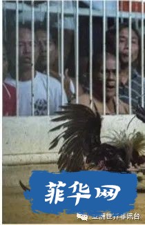 1.jpeg