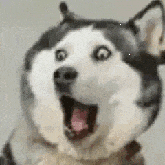 4.gif