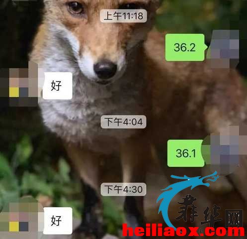 3.jpeg