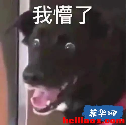 2.jpeg