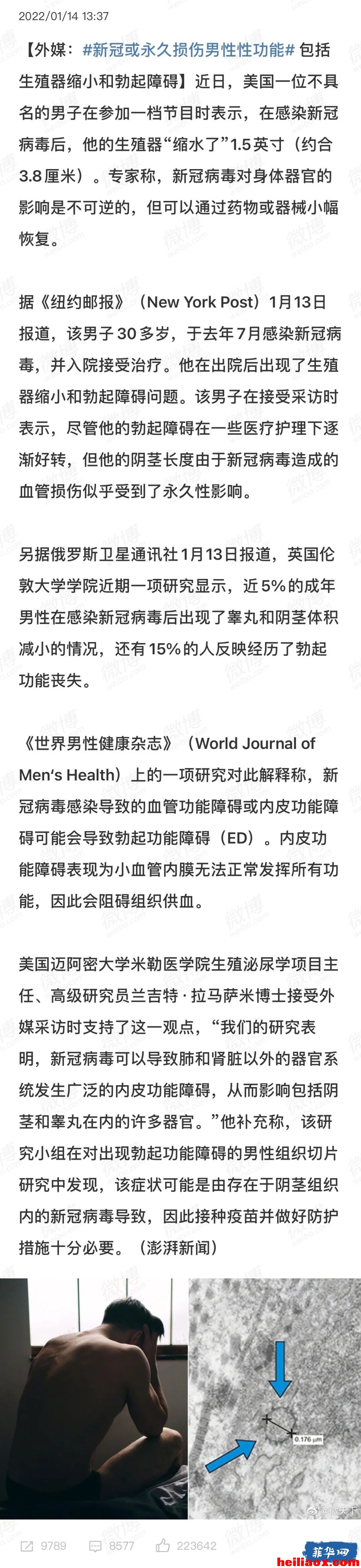 1.jpeg