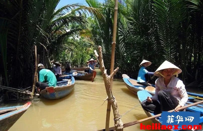 7.jpeg