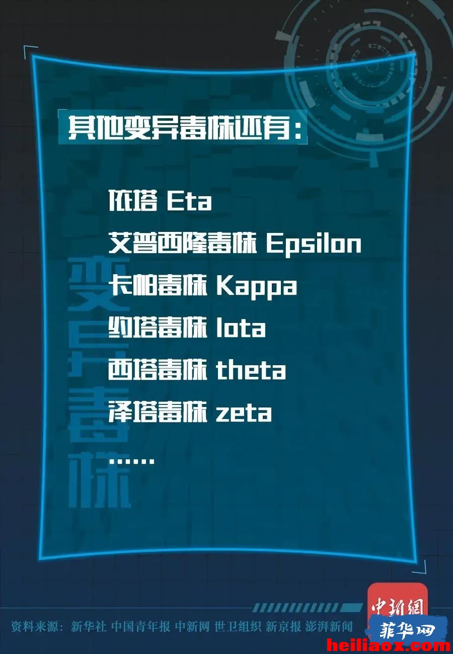 7.jpeg