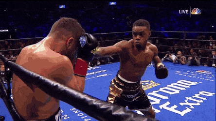2.gif