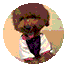 18.gif